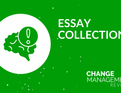 Clearing the Fog on Capabililty – Part 1